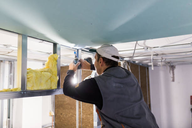 Best Local Insulation Services  in Aldan, PA