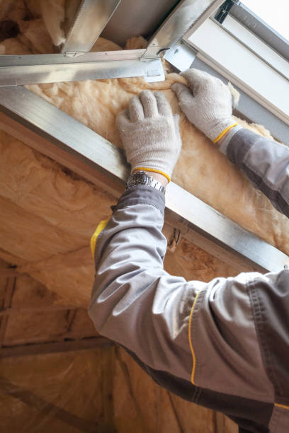 Professional Insulation Contractor in Aldan, PA