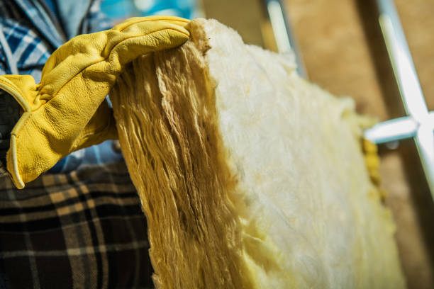 Best Insulation Replacement Services  in Aldan, PA