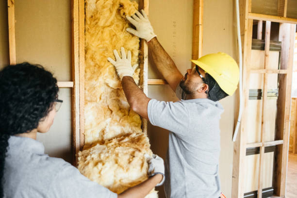 Best Insulation Removal  in Aldan, PA